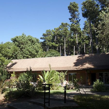 Hotel Lodge Au Bois Vert Antananarivo International Airport Ivato (Analamanga) Exterior foto